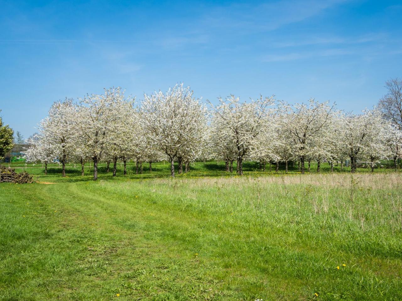 De Oosterling Bed & Breakfast Deil Bagian luar foto